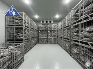 Mesin Makanan Ruangan Pendingin Freezer Ikan Ayam